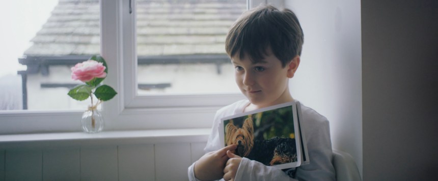 Max points at a flashcard that has a photo of a Yorkshire Terrier.