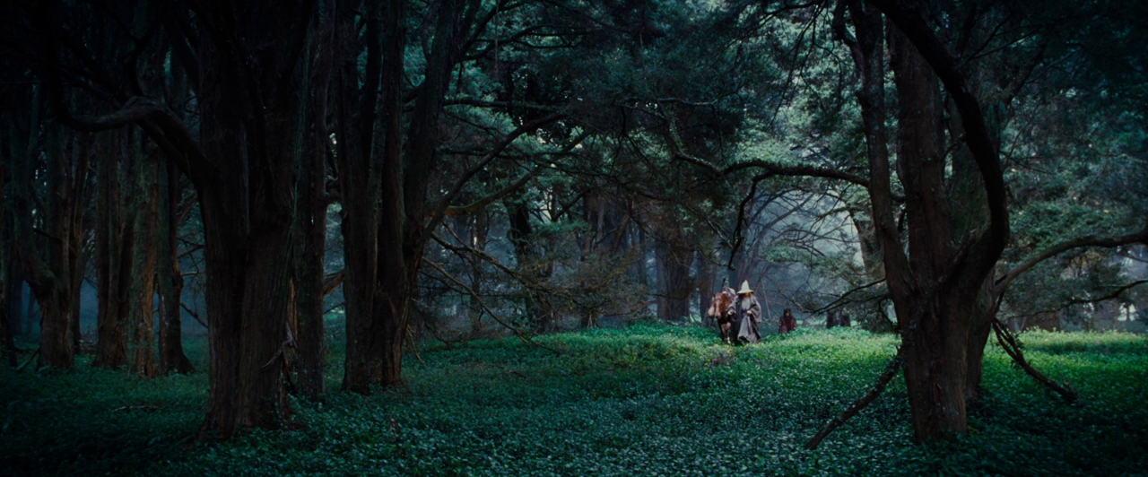 Gandalf, Frodo, and Sam embark into the woods