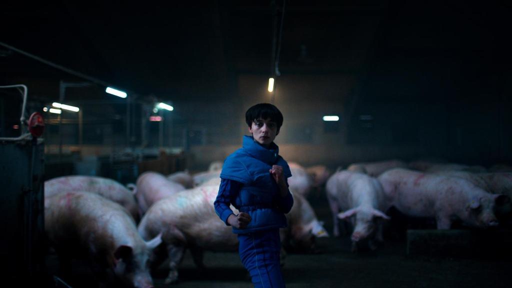 Miu seen standing in her fighting position—one leg in front of the other as her fists are raised. She is wearing her blue tracksuit and a blue puffer vest over it. She is standing in a pig-shed. Behind her are pigs seen walking around. It's a barely lit place, filled with shadows. She is looking towards the camera, towards something—or rather someone—in that direction. 
