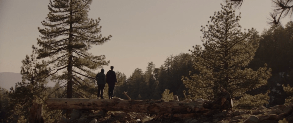 Whit and Clay are out in the forest, standing next to each other on a big log of wood from a fallen tree. They are standing with their backs against the camera, looking out towards what is in front of them, which is more trees and greenery. It looks like a beautiful warm day.