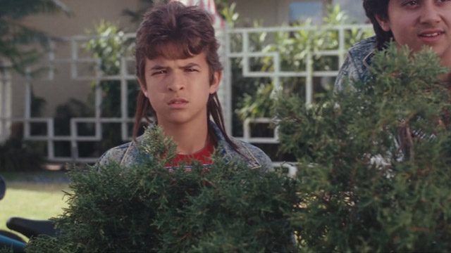 Cameron seen peaking up through  a bush with his brown mullet. Next to him is one of his friends, all looking in the same direction. They are spying and having fun but Cameron looks different, as if he is more jealous of what is happening in front of them (the most popular girl at school kissing a boy from their school) than he is mocking the act. 
